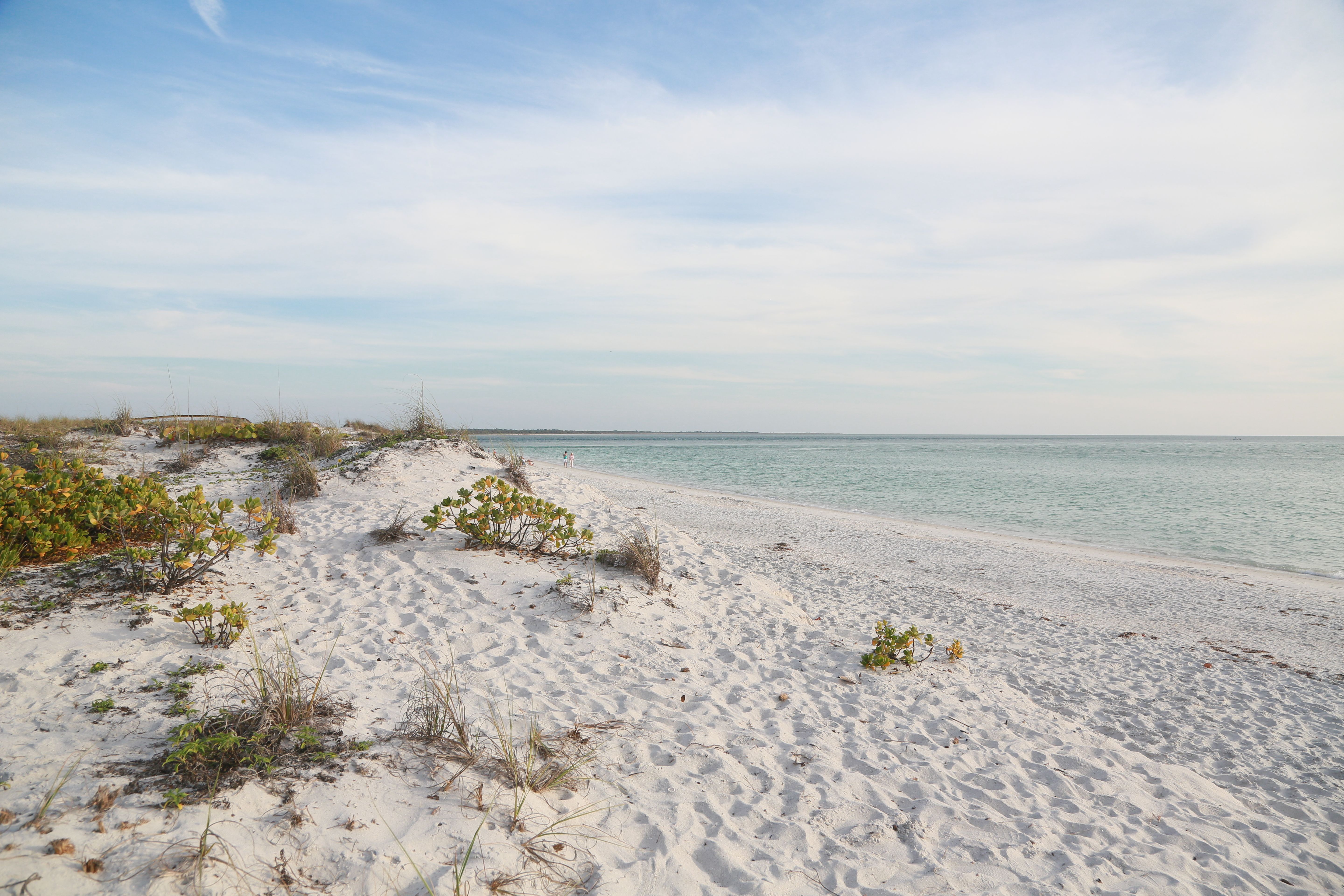 White sand and sea oats